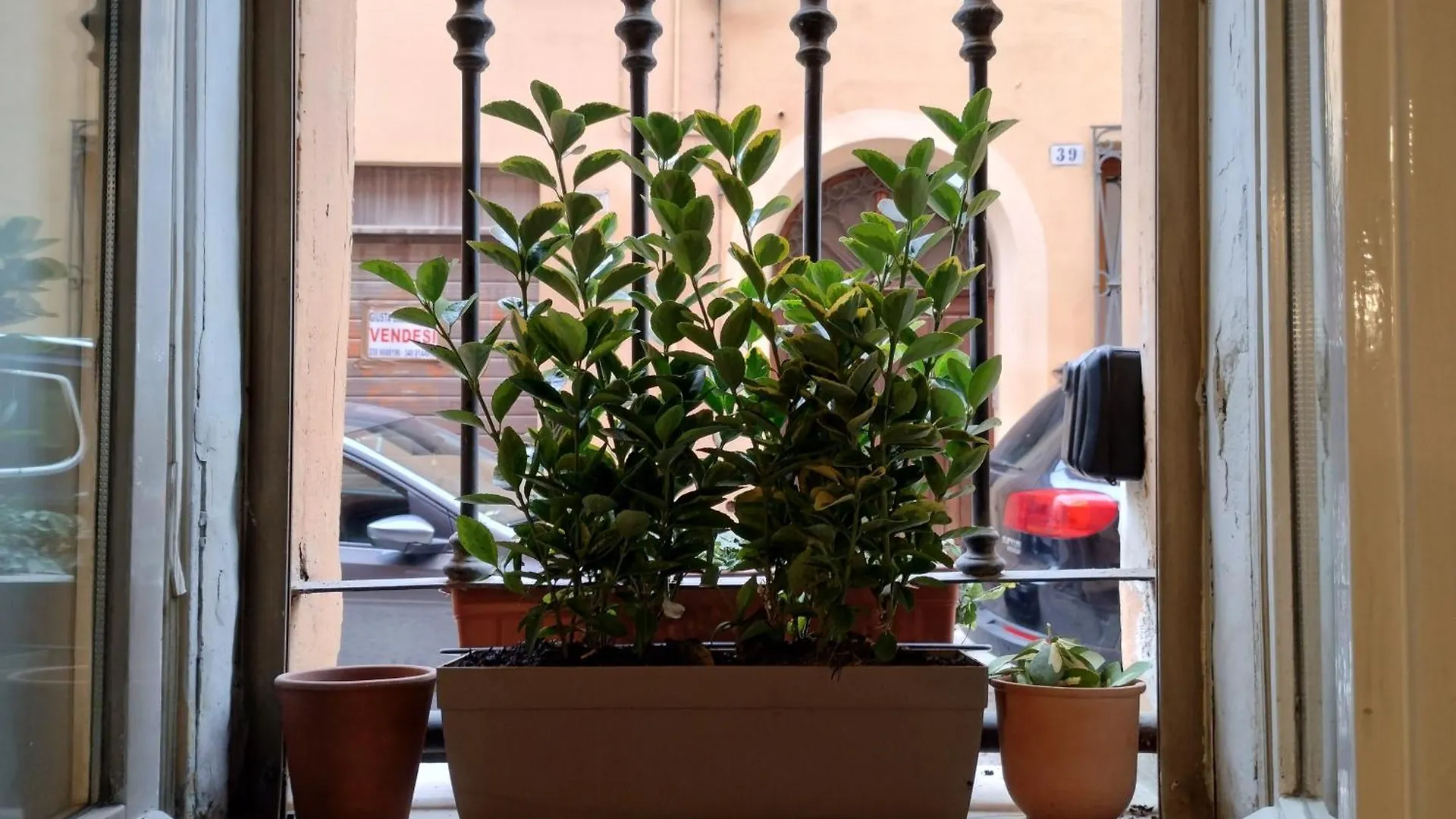 Carillon House Appartement Ferrara Italië
